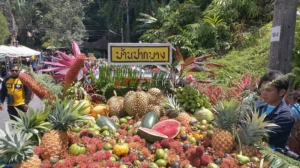 นักท่องเที่ยวไทย-มาเลย์กว่า 2,000 คน แห่ชิมผลไม้ในเทศกาลอาหารรสดี ผลไม้รสเด่นเบตง