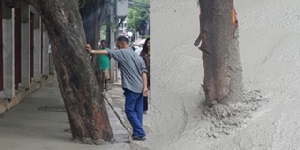 สุดสงสัย! ภาพเทปูนปรับปรุงทางเท้ากลบต้นไม้ ชาวเน็ตถามใช้อะไรคิด
