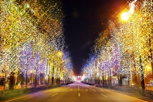 โอซากาแปลงถนนเป็น “เส้นทางดวงดาว”  ระยิบระยับรับปีใหม่  (ชมคลิป)