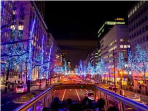 โอซากาแปลงถนนเป็น “เส้นทางดวงดาว”  ระยิบระยับรับปีใหม่  (ชมคลิป)