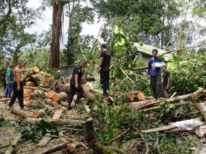 ทหารนาวิกโยธิน กองทัพเรือลงช่วยชาวบ้านในบาเจาะ ต้นไม้ล้มทับบ้านหลายหลัง