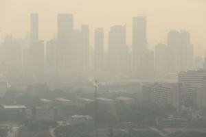เพิ่มพื้นที่สีเขียวในเมือง! “เครื่องฟอกอากาศธรรมชาติ” แก้ปัญหาฝุ่น PM2.5 ระยะยาว