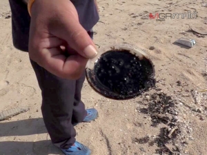 พบเพิ่มอีก! ก้อนน้ำมันโผล่ชายหาดนครศรีฯ ชาวบ้านวิตก พบซากปลา-แมงกระพรุน