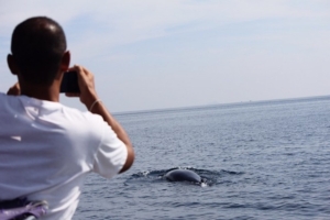 นักท่องเที่ยวตื่นเต้น! เจอวาฬขนาดใหญ่โผล่ข้างเรือ “ว้าวอันดามัน” ก่อนถึงเกาะสิมิลัน