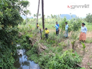 บ่อพักพัง “น้ำขี้หมู” ไหลลงคลองกลางหมู่บ้านที่พัทลุง ปลาตายเกลื่อน-กระทบชุมชน