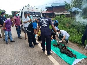 ผงะ! พบศพชายเหลือแต่โครงกระดูก ห่อด้วยเสื่อน้ำมันถูกทิ้งริมถนนสายนครไทย-ภูหินร่องกล้า