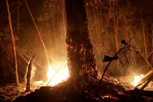 In Pics&amp;Clip: ทหารบราซิล 44,000 นายเริ่มดับ “ไฟป่าอเมซอน” ครั้งร้ายแรง - “โบลโซนารู” อ้าง ไหม้เฉพาะผืนป่าถูกทำลาย
