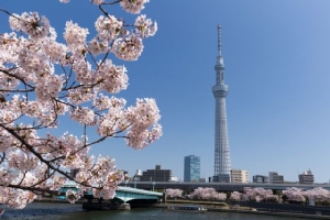 โตเกียวขึ้นแท่น "เมืองปลอดภัยที่สุด" 3 สมัยต่อเนื่อง