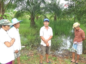 ชาวบ้านเดือดร้อนน้ำท่วมขังสวนยาง-ปาล์ม เหตุโครงการขุดคลองผันน้ำแม่น้ำตรังล่าช้า