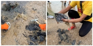 วิกฤตใหม่! “ทรายเน่า” จากถุงพลาสติกฝังใต้ชายหาด ย้ำทะเลไทยไม่สามารถรับถุงเพิ่มได้อีกแล้ว