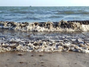 พบซากหอยและขยะเกยหาดวนอุทยานปราณบุรี ความยาวกว่า 1,200 เมตร