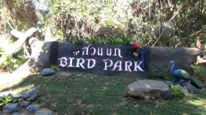 เปิดให้ชมแล้ว! สวนนก Bird Park Ubon Zoo