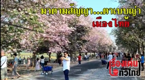 (ชมวิดีโอ) มาตามสัญญา...ชมพูพันธุ์ทิพย์ ตาเบบูญ่าเมืองไทย จุดเช็กอินที่ใครๆ ก็ต้องมา