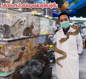 หมอแล็บเตือน! วิธีการป้องกัน “โคโรนาไวรัสสายพันธุ์ใหม่” ย้ำยังไม่เป็นโรคระบาดในไทย