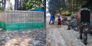 เผยภาพ จนท.อุทยานแห่งชาติเขาลำปี-หาดท้ายเหมือง เปิดเส้นทางรอลูกเต่ามะเฟืองชุดแรกลงทะเล