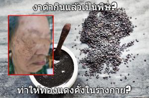 เภสัชเตือน! บริโภคงาดำมากมีอันตราย หลังมีผู้รับประทานทุกมื้อ