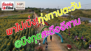 (ชมวิดีโอ)พาไปเบิ่ง!ทุ่งทานตะวัน@บึงกุยสะดืออีสาน