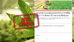 ข่าวปลอม : ลงทะเบียนเข้าร่วมโครงการใช้ที่ดินสปก. 5 ไร่ ปลูกพืชกัญชง