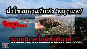 (วิดีโอ) น้ำโขงมหานทีแห่ง “พญานาค” วิกฤต...ระบบนิเวศใกล้พังพินาศ!