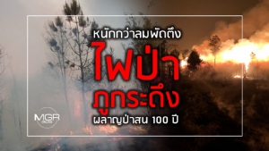 หนักกว่าลมพัดตึง “ไฟป่าภูกระดึง” ผลาญป่าสน 100 ปี