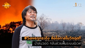 [คลิป] #Saveภูกระดึง คือโอกาสในวิกฤต!! ป่าสนวอด กลับช่วยฟื้นระบบนิเวศ