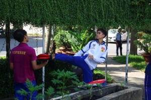 เทควันโด ไม่กล้าเสี่ยง! เลื่อนจัด 2 รายการ หนีไวรัสโคโรน่า