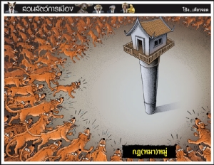 กฎ(หมา)หมู่
