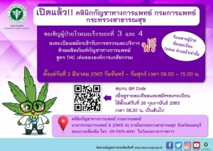 เตรียมเปิดคลินิกกัญชา กรมการแพทย์ 2 มี.ค. ชวนผู้ป่วยมะเร็งระยะ 3-4 ลงทะเบียนรับบริการฟรี