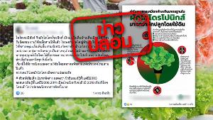 ข่าวปลอม! บริโภคผักไฮโดรโปนิกส์ เสี่ยงเป็นมะเร็ง