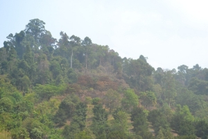 ควันหลงไฟป่าจันทบุรี ทำค่า PM 2.5 พื้นที่ 2อำเภอชายแดนเข้าขั้นสีแดง