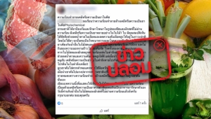 อย่าแชร์! น้ำปั่นผักสดไม่ผ่านความร้อนรักษามะเร็งได้ สถาบันมะเร็งแห่งชาติยันไม่จริง