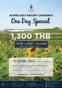 อัลไพน์เชียงใหม่จัด "One Day Special" เฉพาะ 15 มี.ค.นี้