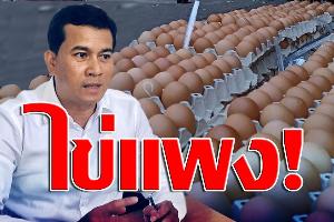 “เชาว์” เตือนคนไทย เตรียมซื้อไข่ไก่ราคาแพง หลังได้ข่าววงในเตรียมขึ้นราคาแผงละ 6 บาท สัปดาห์หน้า