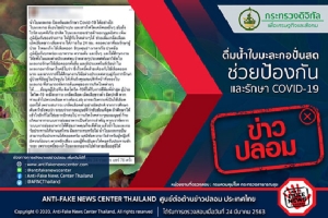 ข่าวปลอม! ดื่มน้ำใบมะละกอปั่นสด ช่วยป้องกันและรักษา COVID-19