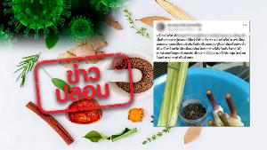อย่าแชร์! สมุนไพรไทยใกล้ตัว รักษาโควิด–19
