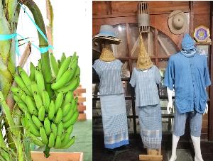 “พาณิชย์” ขึ้นทะเบียนสินค้า GI ใหม่ 2 รายการ “ผ้าม่อฮ่อมแพร่-กล้วยหอมทองปทุม”
