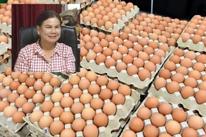 เกษตรกรไก่ไข่ ยันไข่เพียงพอต่อการบริโภค