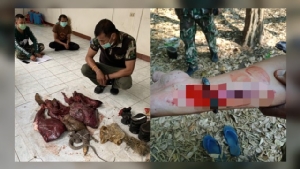 พรานป่าอ้างผู้ใหญ่บ้าน ก่อนชักมีดสู้ จนท.บาดเจ็บ ซ้ำพบซากเลียงผา 14 กก.