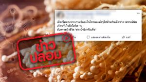 ข่าวปลอม! ห้ามกินเห็ดเข็มทองเพราะมีพิษโควิด-19 อันตรายถึงชีวิต