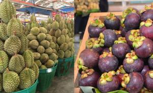 “จุรินทร์” มอบผู้ตรวจราชการพาณิชย์ เป็นมิสเตอร์-มิสผลไม้ แก้ปัญหาการผลิต การตลาดผลไม้ 9 ชนิด