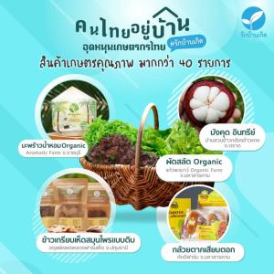 “รักบ้านเกิด” เป็นสื่อกลางช่วย คนไทยอุดหนุนเกษตรกรไทย ผ่าวิกฤต COVID-19
