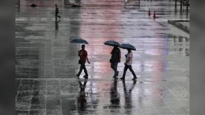 หมอแล็บแพนด้า เตือนโควิดหน้าฝนยังน่าห่วง หวั่นระบาดซ้ำ หลังคนไทยเริ่มผ่อนคลายจากผู้ป่วยลดต่อเนื่อง