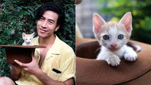 หวังว่าทัวร์คงไม่ลง? ทาสคนใหม่ "โย่ง อาร์มแชร์" ได้ชื่อลูกแมวแล้ว ชื่อเจ้า "ส้มหยุด"