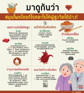 มาดูกันว่าสมุนไพรใดแก้โรคอะไรให้ผู้สูงวัยได้บ้าง!