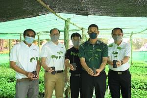 เริ่มแล้ว!! เพิ่มพื้นที่สีเขียว กว่า 1.2 ล้านต้น “Forest For Life สร้างป่า สร้างชีวิต”