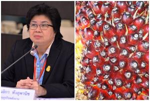 ผู้ผลิต B100 เด้งรับนโยบาย “สนธิรัตน์” พร้อมดึงบล็อกเชนช่วยดันราคาปาล์ม
