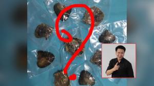 อ.เจษฎ์ วอนอย่าหลงเชื่อไลฟ์ขาย “หอยมุก” ชี้ไม่ใช่มุกชนิดหายาก แถมราคาสูงเกินจริง