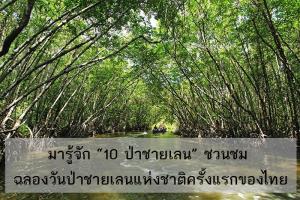มารู้จัก “10 ป่าชายเลน” ชวนชม ฉลองวันป่าชายเลนแห่งชาติครั้งแรกของไทย
