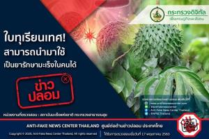 ข่าวปลอม! ใบทุเรียนเทศรักษามะเร็งในคนได้