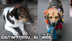 วอชด็อกฯ เผยเจ้าของ “พี่เตี้ย” ตัวจริงประสานเอาผิดมือฆ่า ยันที่ผ่านมาไม่เคยทิ้งสิทธิ์